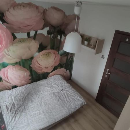 Apartament Dlugie Ogrody 36 Daire Gdansk Dış mekan fotoğraf